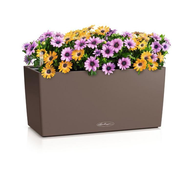 Lechuza BALCONERA Colore 40 noce moscata